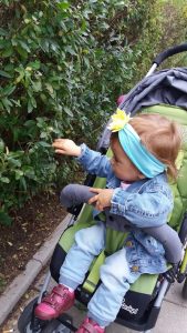 dotykanie-roslin-male